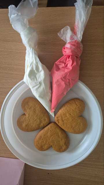 IMG_20260213_112831_510